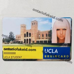 Fake Student Card
